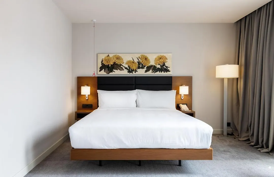 Hilton Garden Inn Tbilisi Chavchavadze-1