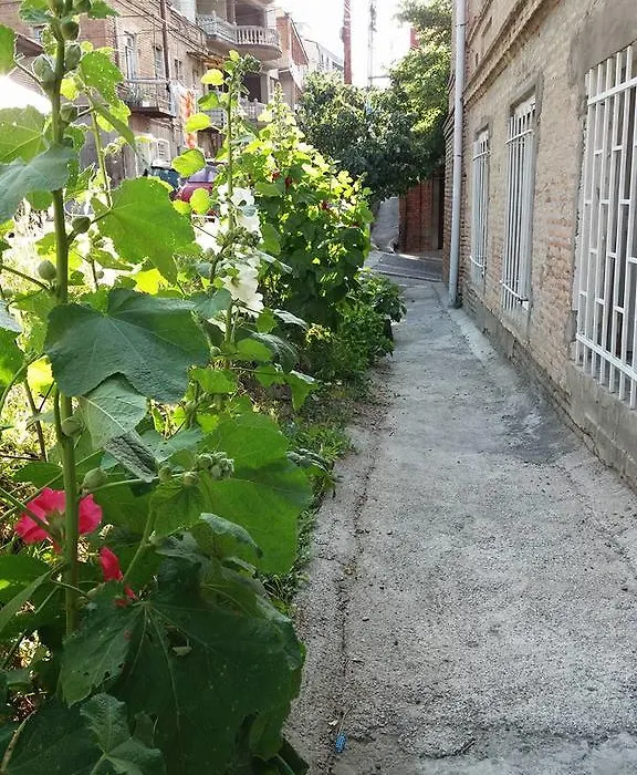 Guest House Liana-1