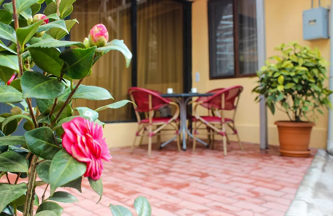 Lasha Apartment-1