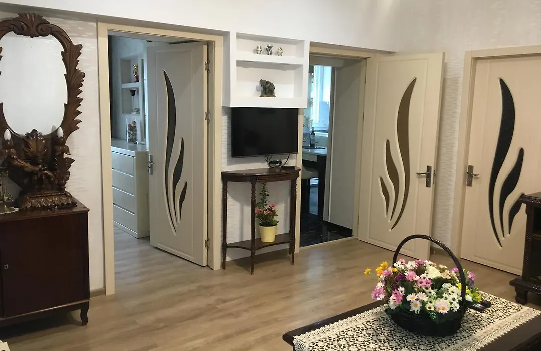 Newly Renovated House-1