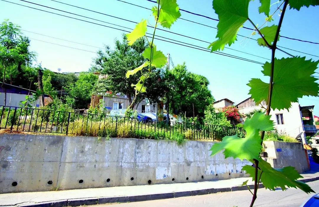 Guest House Gege-1