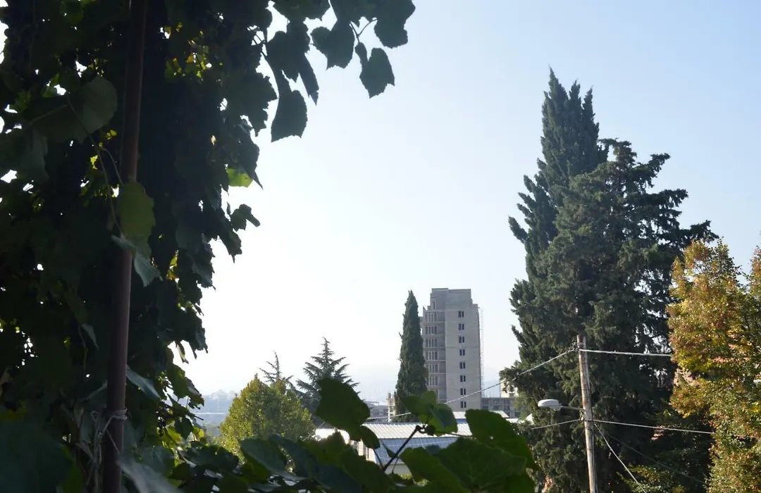 Alex'S Cosy Guesthouse-1
