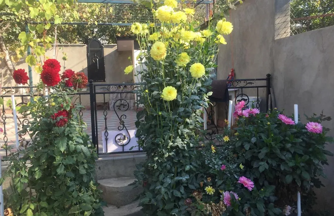 Apartament Sofia-1
