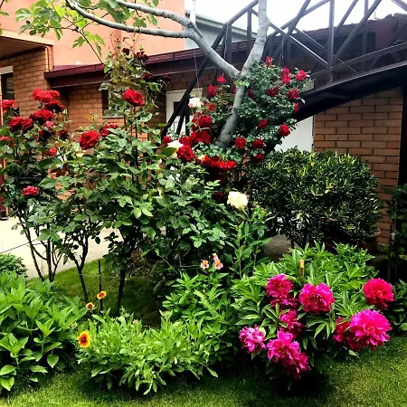 Green Garden-2