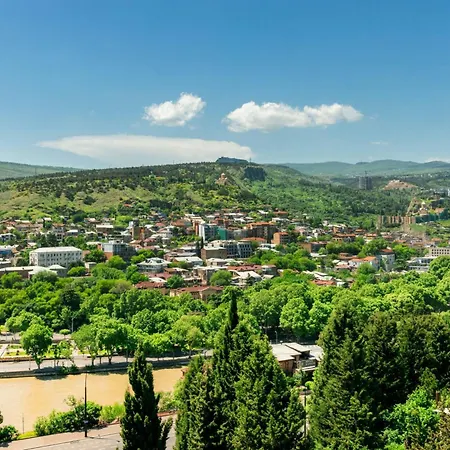 Sheraton Grand Tbilisi Metechi Palace-3