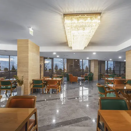 Royal Tulip Hotel & Casino, Tbilisi-2