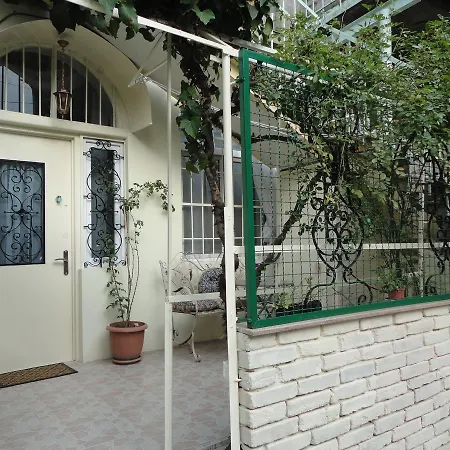 Art House Petunia-2