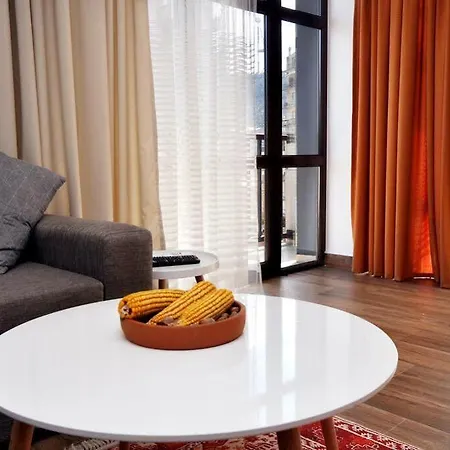 Bfg Suites Apartments-2